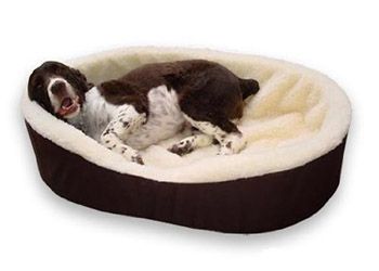 Choosing The Perfect Bed For Your Dog